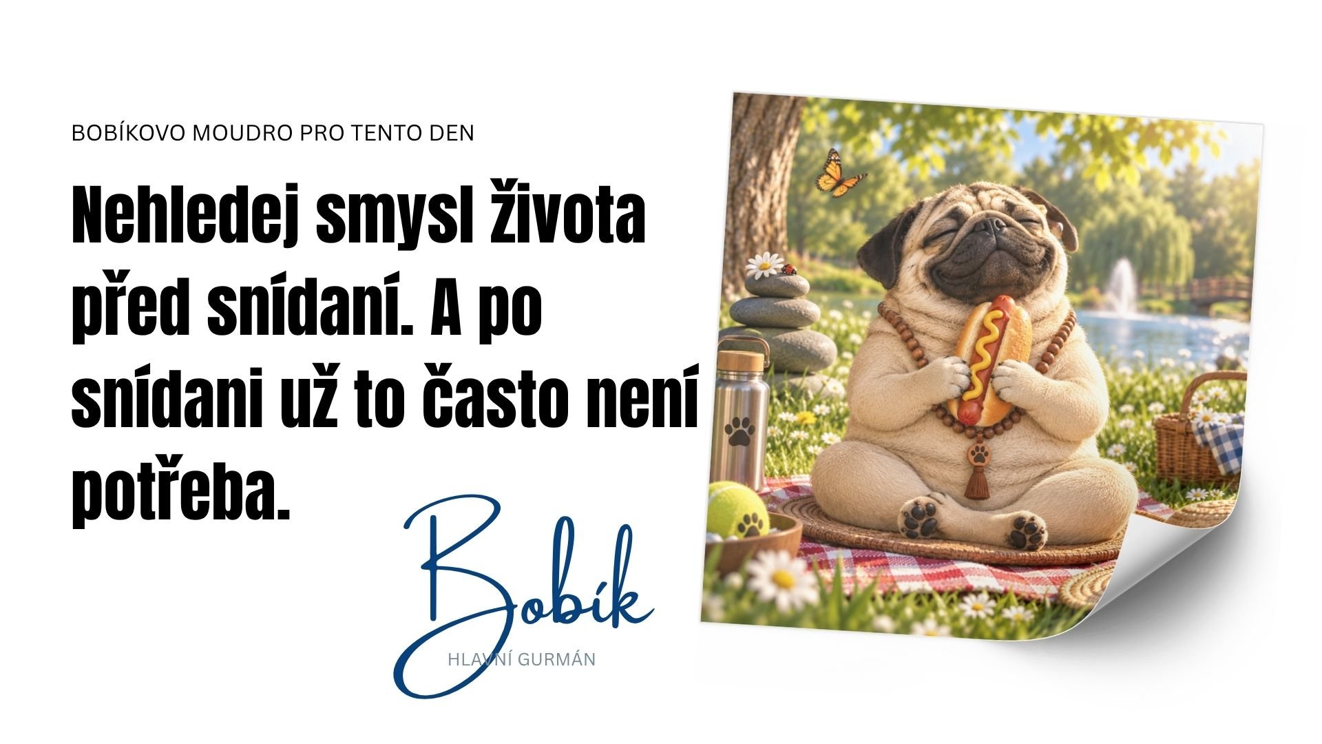 Bobikovia do zasoby (1) Bobikovia do zasoby (1)