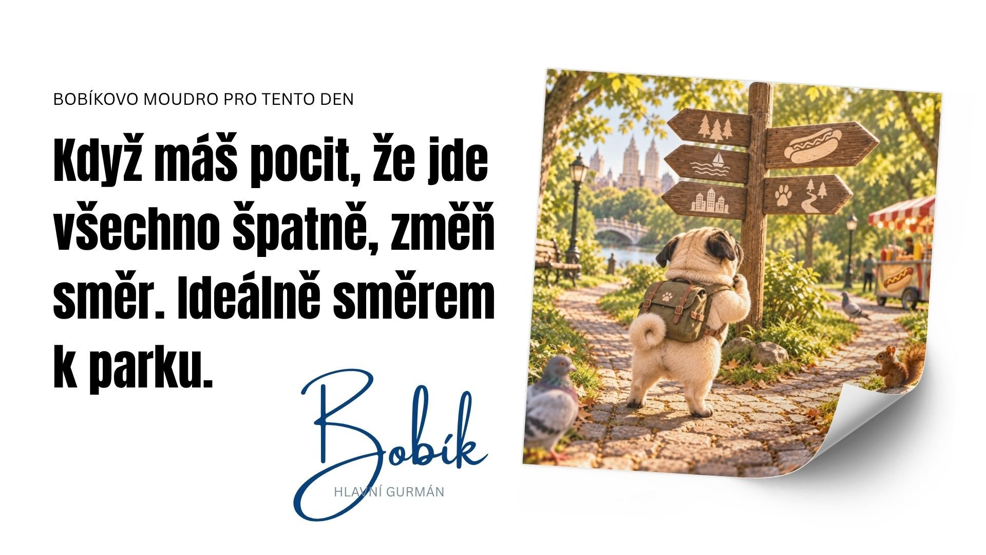 Bobikovia do zasoby (2)
