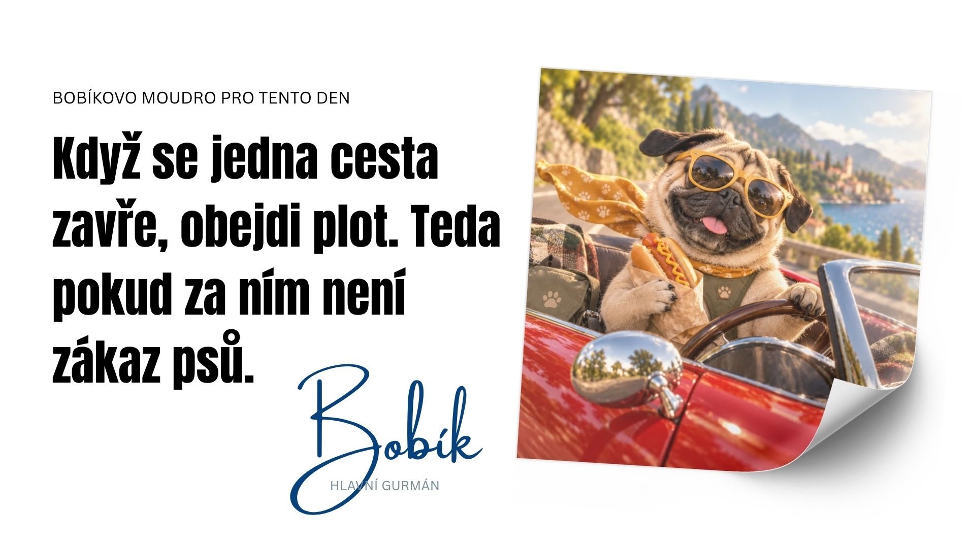Bobikovia do zasoby (3)