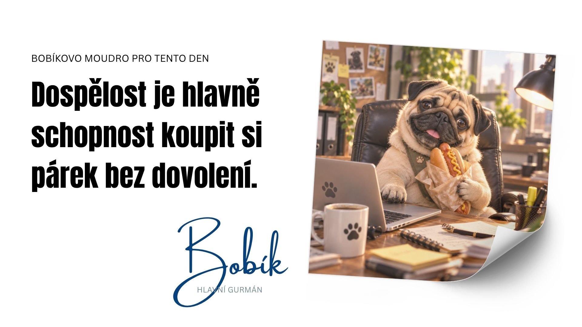 Bobikovia do zasoby Bobikovia do zasoby